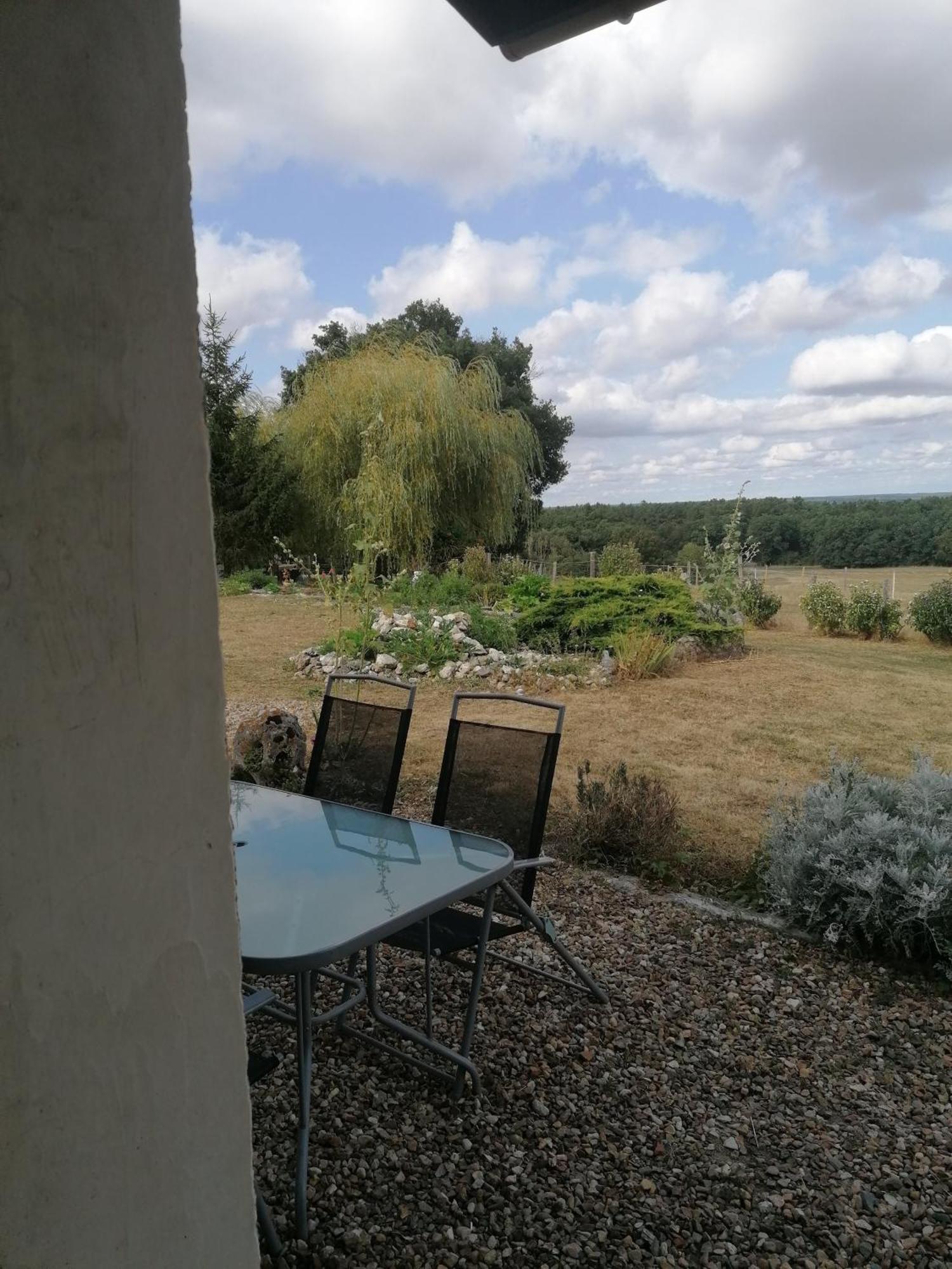 Gite 4 Pers, Jacuzzi, Piscine, Proche Futuroscope, Calme Et Nature A La Roche Posay ラ・ロッシュ・ポゼ エクステリア 写真