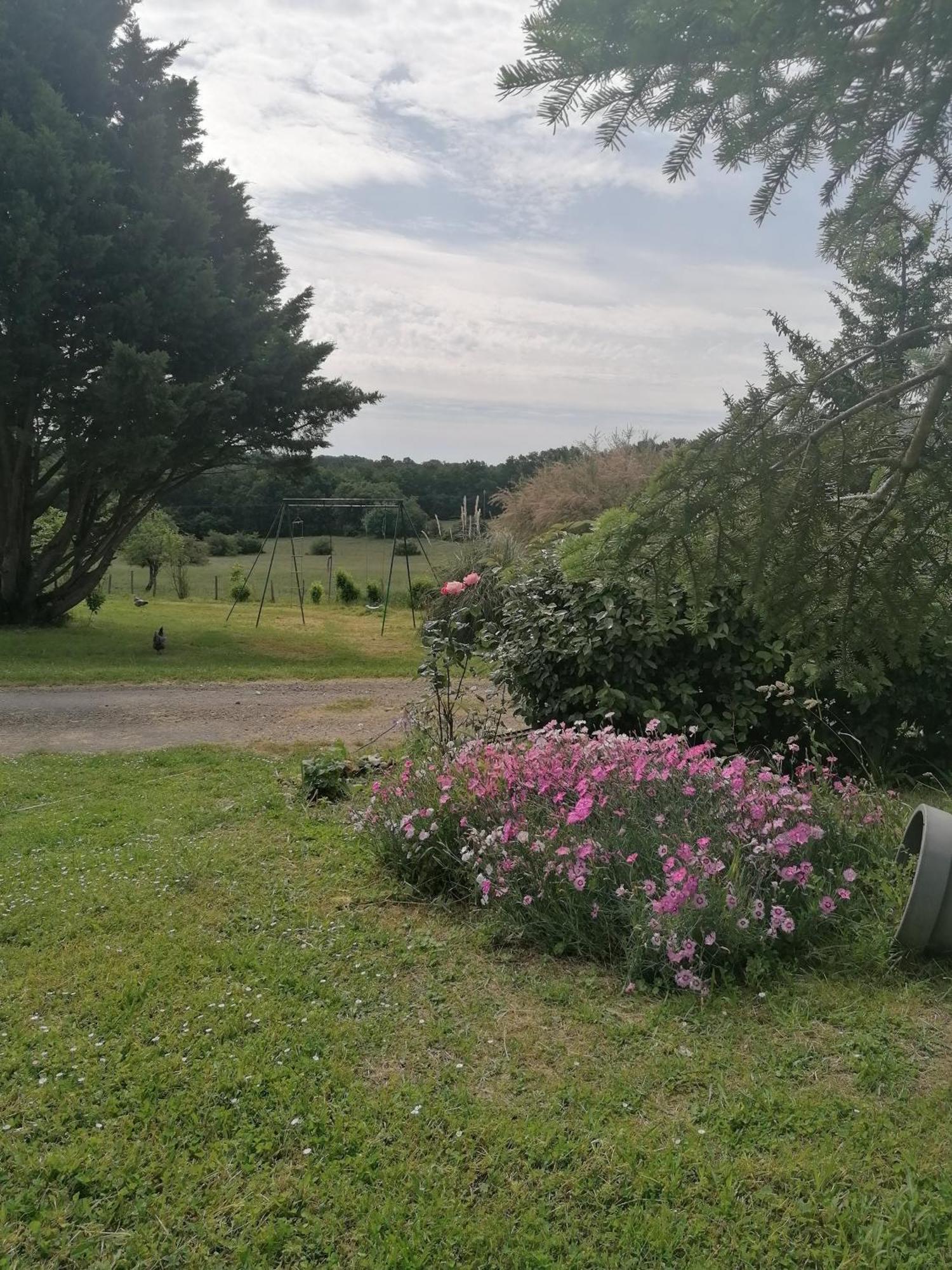 Gite 4 Pers, Jacuzzi, Piscine, Proche Futuroscope, Calme Et Nature A La Roche Posay ラ・ロッシュ・ポゼ エクステリア 写真